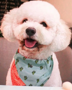 Fluffy Friends and Hoomen T-Shirts